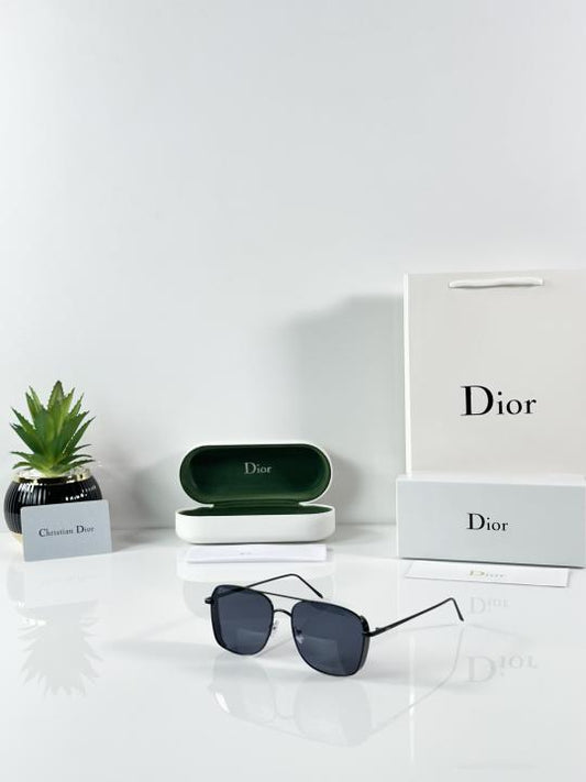 DiorR 8287 Black Sunglasses